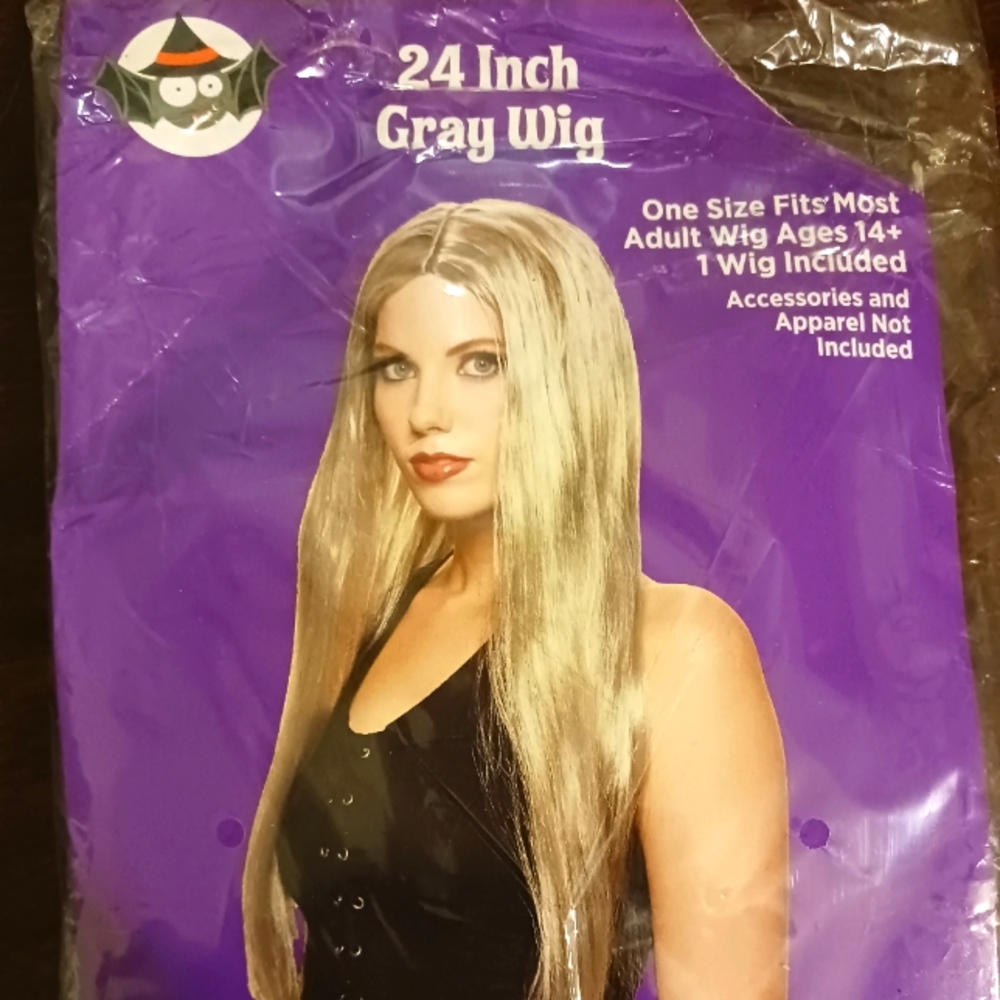 ADULT..AGES 14+...24 INCH GRAY WIG FOR COSTUME..WOMENS